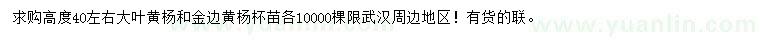 求购高40公分左右大叶黄杨、金边黄杨