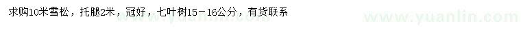 求购10米雪松、15-16公分七叶树