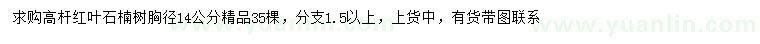 求购胸径14公分高杆红叶石楠