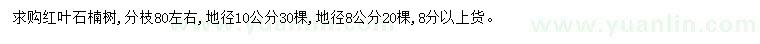 求购地径8、10公分红叶石楠