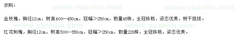 求购胸径12公分金枝槐、红花刺槐