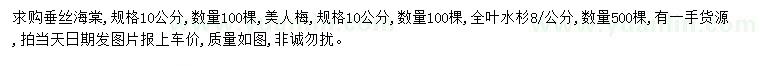 求购垂丝海棠、美人梅、金叶水杉