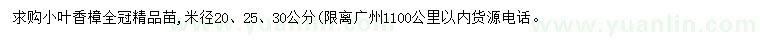 求购米径20、25、30公分小叶香樟