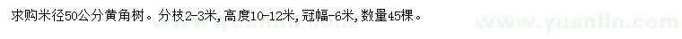 求购米径50公分黄角树