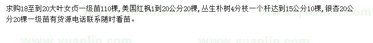 求购大叶女贞、美国红枫、丛生朴树等