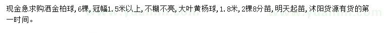 求购冠幅1.5米以上洒金柏球、1.8米大叶黄杨球