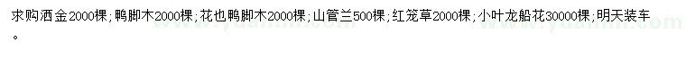 求购洒金、鸭脚木、山管兰等