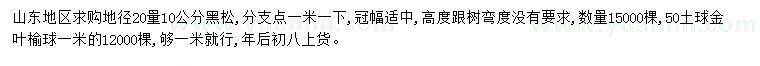 求购20量10公分黑松、1米金叶榆球