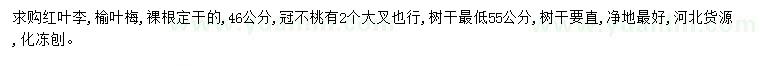 求购4-6公分红叶李、榆叶梅