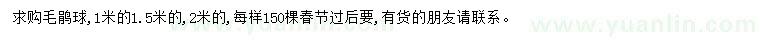 求购1、1.5、2米毛鹃球