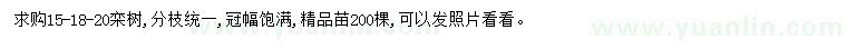 求购15、18、20栾树