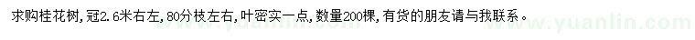 求购冠2.6米左右桂花树