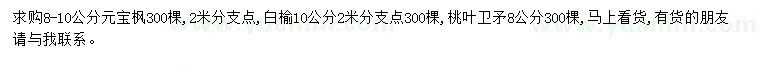 求购元宝枫、白榆、桃叶卫矛