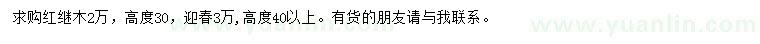 求购高30公分红继木、高40公分以上迎春