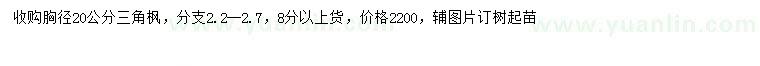 求购胸径20公分三角枫