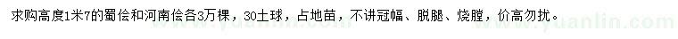 求购高1.7米蜀桧、河南桧