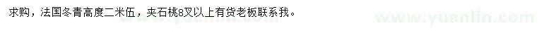 求购高2.5米法国冬青、夹竹桃