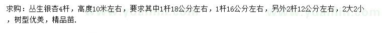 求购高10米左右丛生银杏