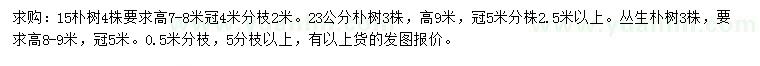 求购15、23公分朴树、高8-9米丛生朴树