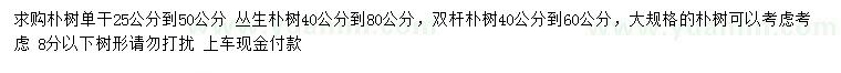 求购单杆朴树、丛生朴树、双杆朴树