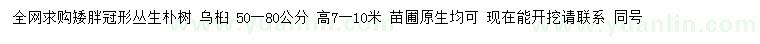 求购高7-10米丛生朴树、乌桕