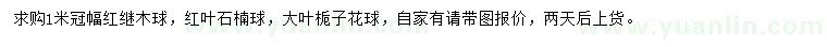 求购红继木球、红叶石楠球、大叶栀子花球