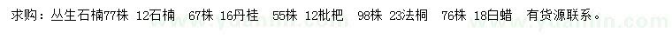 求购丛生石楠、丹桂、枇杷等