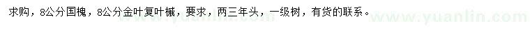 求购8公分国槐、金叶复叶槭