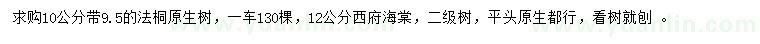 求购10公分法桐、12公分西府海棠