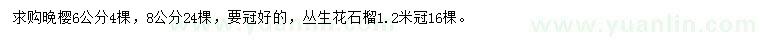 求购6、8公分晚樱、冠1.2米丛生花石榴