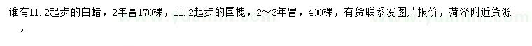 求购11.2公分起步白蜡、国槐