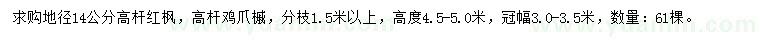 求购地径14公分红枫、鸡爪槭