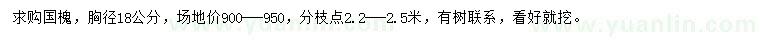 求购胸径18公分国槐