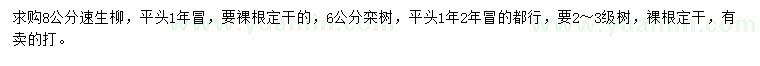 求购8公分速生柳、6公分栾树