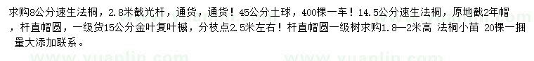 求购速生法桐、金叶复叶槭、法桐小苗