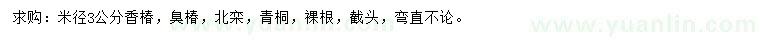 求购香椿、臭椿、北栾等