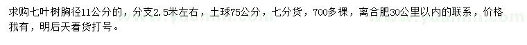 求购胸径11公分七叶树