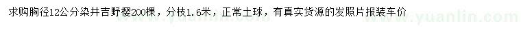 求购胸径12公分染井吉野樱