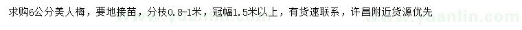 求购6公分美人梅