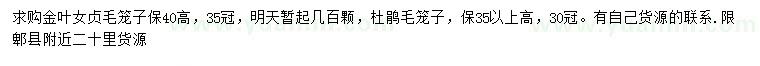 求购冠35公分金叶女贞、冠30公分杜鹃