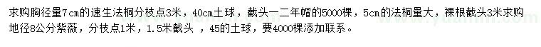 求购速生法桐、法桐、紫薇