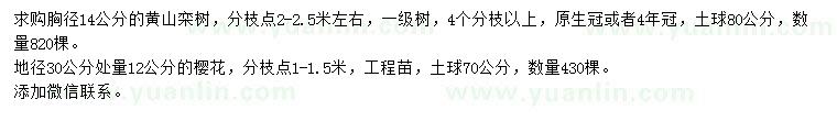 求购胸径14公分黄山栾树、30量12公分樱花