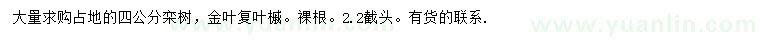 求购4公分栾树、金叶复叶槭