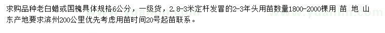 求购6公分老白蜡、国槐