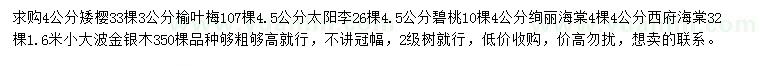 求购矮樱、榆叶梅、太阳李等