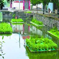 水上种植浮床 人工湿地生态浮床漂浮垫 抗风浪浮板水生植物浮床