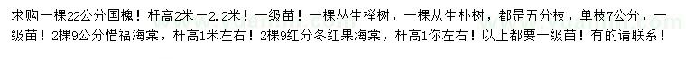 求购国槐、丛生榉树、丛生朴树等