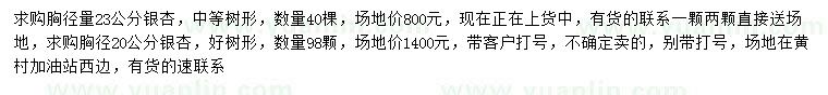 求购胸径20、23公分银杏