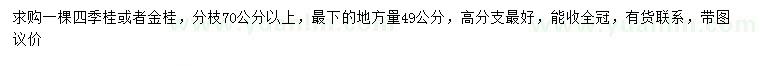 求购49公分以上四季桂、金桂