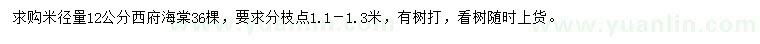 求购米径12公分西府海棠